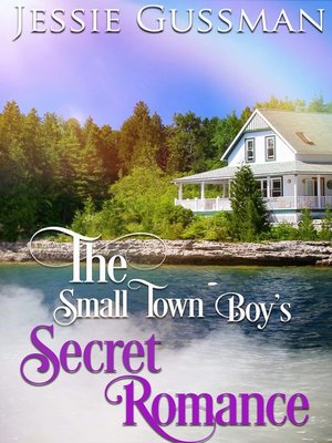 cover image of The Small Town Boy's Secret Romance